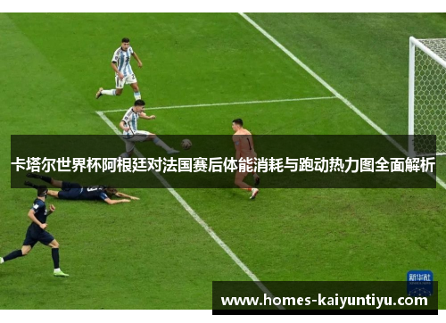 卡塔尔世界杯阿根廷对法国赛后体能消耗与跑动热力图全面解析