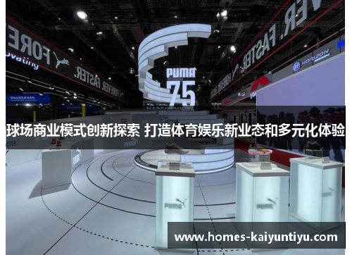 球场商业模式创新探索 打造体育娱乐新业态和多元化体验