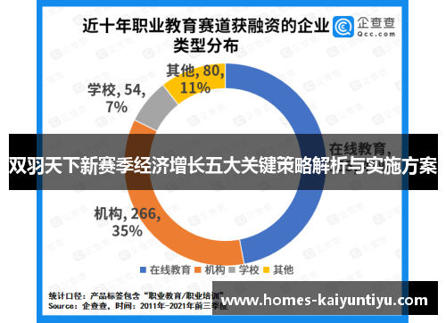 双羽天下新赛季经济增长五大关键策略解析与实施方案